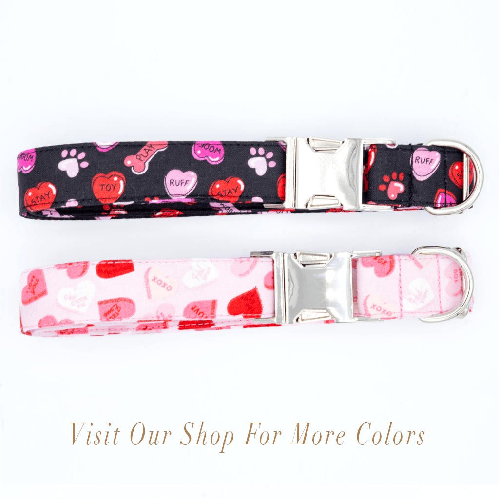 Valentines Day Hearts - Craft Designs By Kenz - XS - Personalized Pet Collar