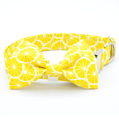 Lemon Dog Collar - Craft Designs By Kenz - Collar - Personalized Pet Collar