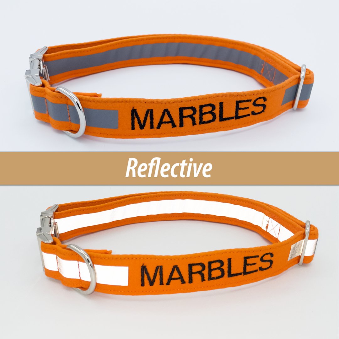 Reflective Collar - Personalized Dog Collar - Craft Designs By Kenz -